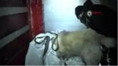 ERZURUM Rekor eroin davasında gerekçeli karar açıklandı: Örgütte katı gizlilik önemli ERZURUM Rekor eroin davasında gerekçeli karar açıklandı: Örgütte katı gizlilik önemli