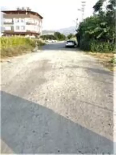Karaağaç, Şirin Caddesi sakinleri Arsuz Belediyesi'nden asfalt bekliyor Karaağaç, Şirin Caddesi sakinleri Arsuz Belediyesi'nden asfalt bekliyor