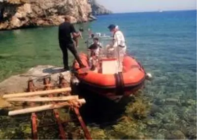 Koya bırakılan 8 düzensiz göçmen kurtarıldı, 1 göçmen hayatını kaybetti Koya bırakılan 8 düzensiz göçmen kurtarıldı, 1 göçmen hayatını kaybetti