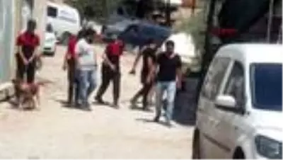 MUĞLA Bodrum'da kafatası bulan köpek güvenlik güçlerini harekete geçirdi MUĞLA Bodrum'da kafatası bulan köpek güvenlik güçlerini harekete geçirdi