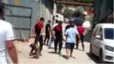 MUĞLA Bodrum'da kafatası bulan köpek güvenlik güçlerini harekete geçirdi MUĞLA Bodrum'da kafatası bulan köpek güvenlik güçlerini harekete geçirdi