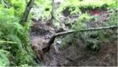 RİZE Çayeli'nde heyelanda çöken eve tanık olanlar o anları anlattı