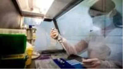 Rus hükümeti destekli hacker grubunun koronavirüs aşı çalışmalarına saldırdığı iddia edildi