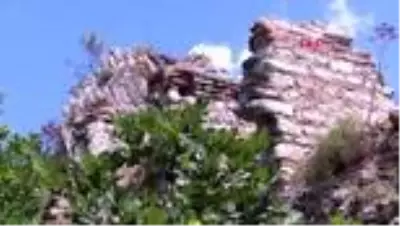 SUR TEHLİKESİ ALTINDA YAŞAM -1 SUR TEHLİKESİ ALTINDA YAŞAM -1