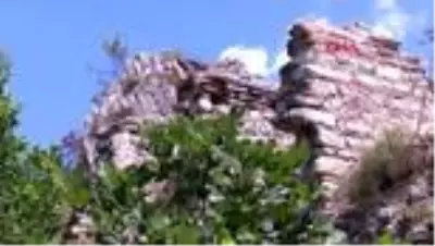 SUR TEHLİKESİ ALTINDA YAŞAM -1 SUR TEHLİKESİ ALTINDA YAŞAM -1