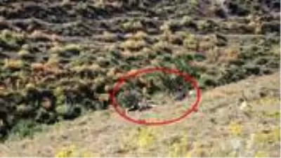 Van’da keşif uçağının düşmesi sonucu şehit olan 7 kahramanımızın kimlikleri belli oldu