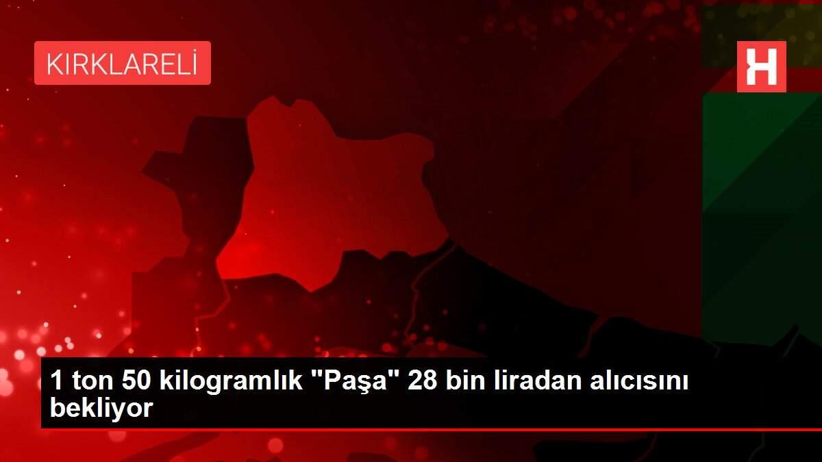 1 ton 50 kilogramlık 1 ton 50 kilogramlık