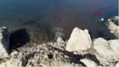 ADANA Baraj gölüne bırakılan atık suyun yanında dans ederek yüzdüler ADANA Baraj gölüne bırakılan atık suyun yanında dans ederek yüzdüler