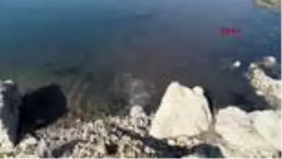 ADANA Baraj gölüne bırakılan atık suyun yanında dans ederek yüzdüler ADANA Baraj gölüne bırakılan atık suyun yanında dans ederek yüzdüler