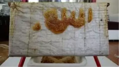 Arıların işlediği 'Allah lafzı' şaşırttı Arıların işlediği 'Allah lafzı' şaşırttı