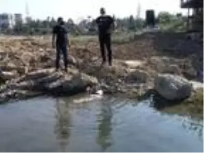 Baraj gölüne bırakılan atık suyun yanında dans ederek yüzdüler Baraj gölüne bırakılan atık suyun yanında dans ederek yüzdüler
