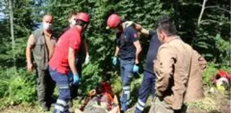 İzzet Baysal: Bolu'da ormanda çalışırken 100 metreden düşen memur, operasyonla kurtarıldı İzzet Baysal: Bolu'da ormanda çalışırken 100 metreden düşen memur, operasyonla kurtarıldı