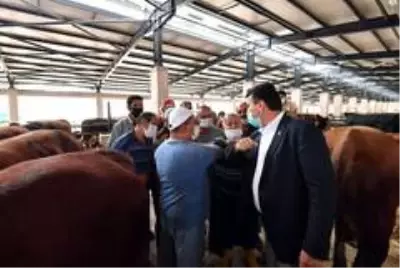 Günlük 4 bin hayvan kapasiteli tesiste ilk pazarlığı Başkan Dündar yaptı Günlük 4 bin hayvan kapasiteli tesiste ilk pazarlığı Başkan Dündar yaptı