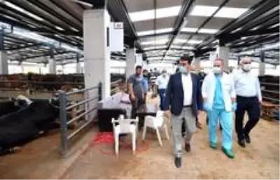 Günlük 4 bin hayvan kapasiteli tesiste ilk pazarlığı Başkan Dündar yaptı Günlük 4 bin hayvan kapasiteli tesiste ilk pazarlığı Başkan Dündar yaptı