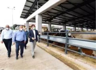 Günlük 4 bin hayvan kapasiteli tesiste ilk pazarlığı Başkan Dündar yaptı Günlük 4 bin hayvan kapasiteli tesiste ilk pazarlığı Başkan Dündar yaptı