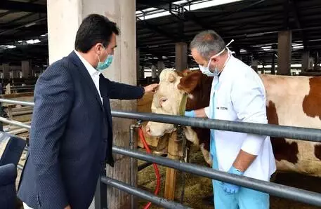 Günlük 4 Bin hayvan kesim kapasiteli tesis Türkiye'nin en iyisi Günlük 4 Bin hayvan kesim kapasiteli tesis Türkiye'nin en iyisi
