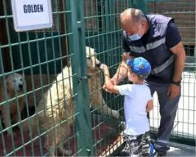Özel çocuklardan hayvan dostlarına ziyaret Özel çocuklardan hayvan dostlarına ziyaret