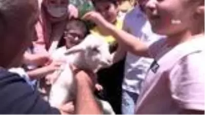 Özel çocuklardan hayvan dostlarına ziyaret Özel çocuklardan hayvan dostlarına ziyaret