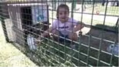 Özel çocuklardan hayvan dostlarına ziyaret Özel çocuklardan hayvan dostlarına ziyaret