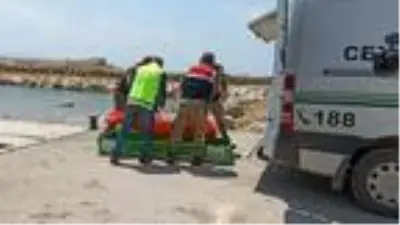 Van Gölü'nden çıkarılan ceset sayısı 45'e ulaştı Van Gölü'nden çıkarılan ceset sayısı 45'e ulaştı