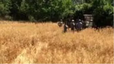 3 yaşındaki çocuğun traktörle oyunu faciayla sonlandı 3 yaşındaki çocuğun traktörle oyunu faciayla sonlandı