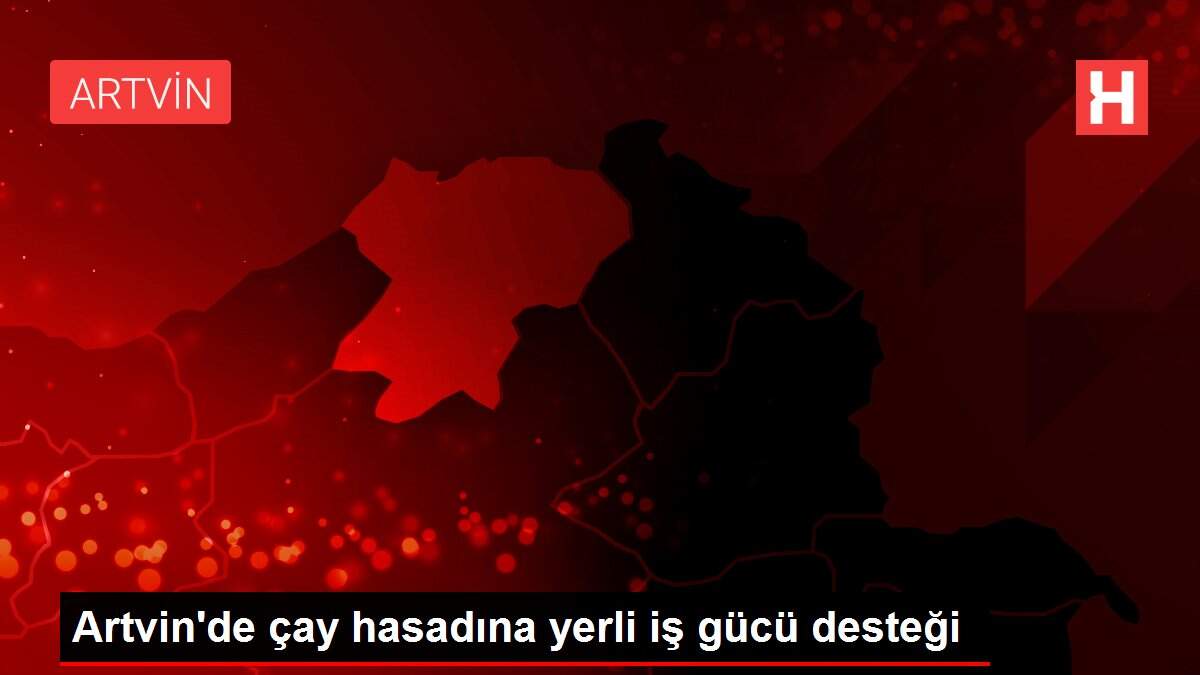 Son dakika ekonomi: Artvin'de çay hasadına yerli iş gücü desteği