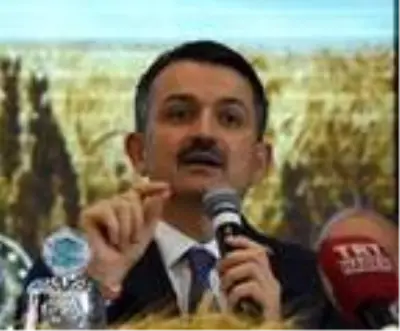Bakan Pakdemirli: 5.7 milyon tonluk lisanslı depolama kapasitesi oldu Bakan Pakdemirli: 5.7 milyon tonluk lisanslı depolama kapasitesi oldu