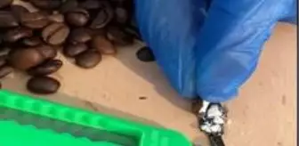 Floransa: Kolombiya'dan İtalya'ya yollanan pakette kahve çekirdeklerine doldurulmuş kokain Floransa: Kolombiya'dan İtalya'ya yollanan pakette kahve çekirdeklerine doldurulmuş kokain