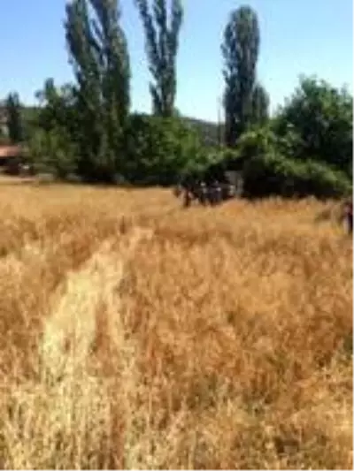 3 yaşındaki çocuğun traktörle oyunu faciayla sonlandı 3 yaşındaki çocuğun traktörle oyunu faciayla sonlandı