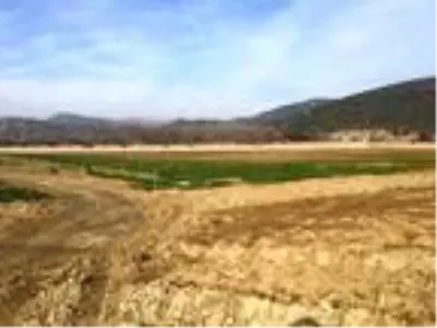Küresel ısınma enfeksiyon riskini de artırıyor