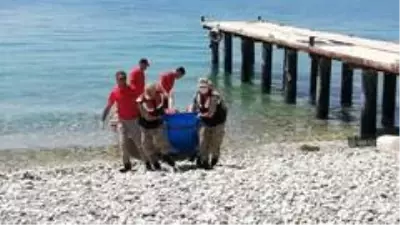Van Gölü'nden 1 ceset daha çıkarıldı Van Gölü'nden 1 ceset daha çıkarıldı