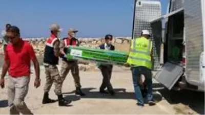 Van Gölü'nden 1 ceset daha çıkarıldı Van Gölü'nden 1 ceset daha çıkarıldı
