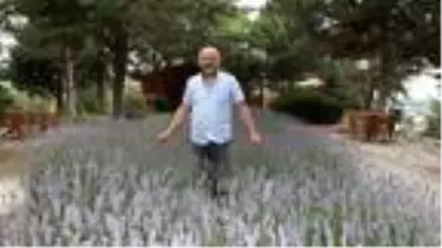 Acı biber yedi, fenomen oldu Acı biber yedi, fenomen oldu