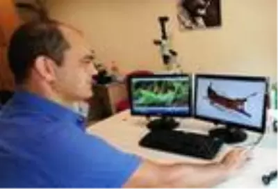 Antik bitki, 2700 yıllık Phaselis gemilerine ilham kaynağı olmuş