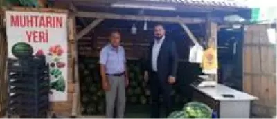 Başkan Vekili Taşgın yatırımları yerinde inceledi Başkan Vekili Taşgın yatırımları yerinde inceledi