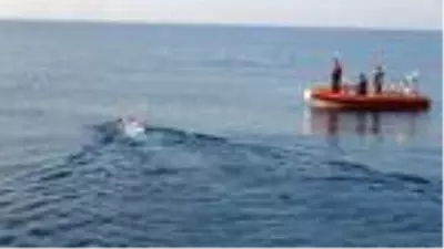 Eski Bakan Tüzmen ile 5 sporcu, Mersin'den KKTC'ye yüzüyor Eski Bakan Tüzmen ile 5 sporcu, Mersin'den KKTC'ye yüzüyor