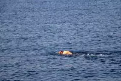 Milli yüzücüler Mersin'den KKTC'ye yüzmeye başladı Milli yüzücüler Mersin'den KKTC'ye yüzmeye başladı