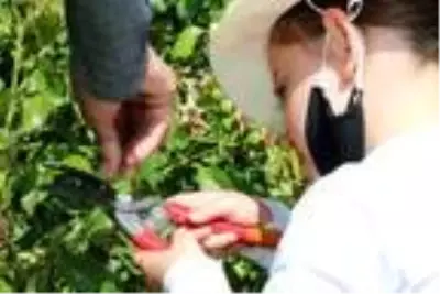 Minikler, park ve bahçe işlerini yaşayarak öğreniyor Minikler, park ve bahçe işlerini yaşayarak öğreniyor