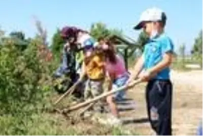 Minikler, park ve bahçe işlerini yaşayarak öğreniyor Minikler, park ve bahçe işlerini yaşayarak öğreniyor