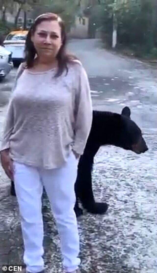 Parkta yürüyüş yapan 3 kadın, karşılarına çıkan ayı ile selfie çekti