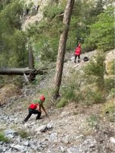 Seydikemer'de kayalıklardan uçuruma düşen kişi aranıyor Seydikemer'de kayalıklardan uçuruma düşen kişi aranıyor