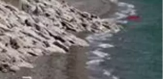 Konyaaltı Sahili: ANTALYA Konyaaltı Sahili 60 yılda 35 metre eridi, bir havluluk yer kaldı Konyaaltı Sahili: ANTALYA Konyaaltı Sahili 60 yılda 35 metre eridi, bir havluluk yer kaldı