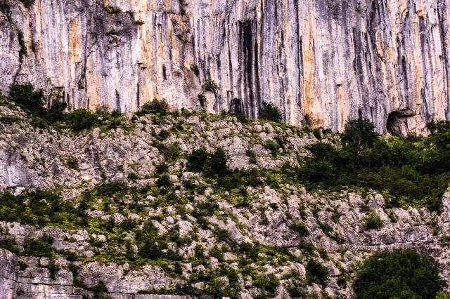 Dünyada sadece Bartın'da olan bitki türü keşfedildi