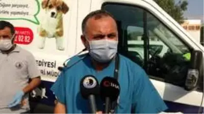 Kartal'da kurban satış alanında termal kamera dönemi Kartal'da kurban satış alanında termal kamera dönemi