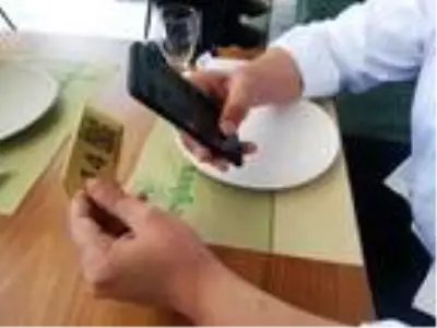 Koronavirüs ile 'temassız menü' uygulaması arttı Koronavirüs ile 'temassız menü' uygulaması arttı