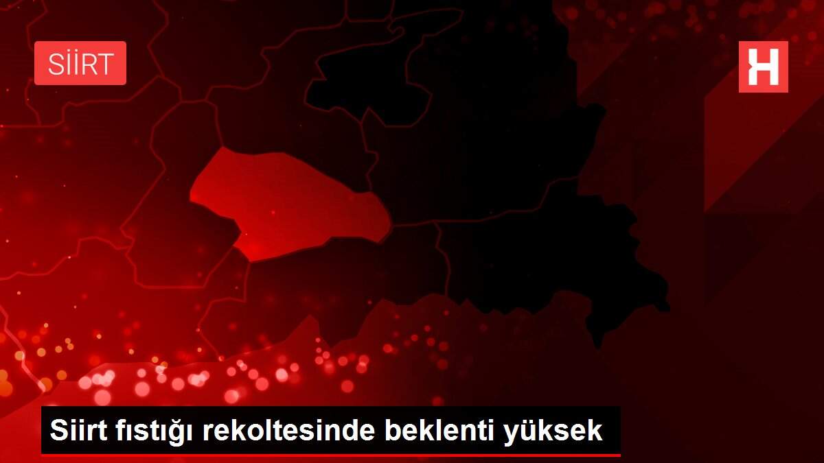 Siirt fıstığı rekoltesinde beklenti yüksek