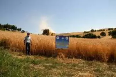 Tunceli'de tarla günü etkinliği Tunceli'de tarla günü etkinliği