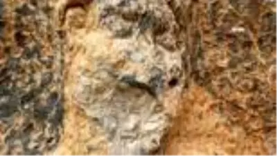 Herkül'ün başı definecilerle dertte Herkül'ün başı definecilerle dertte