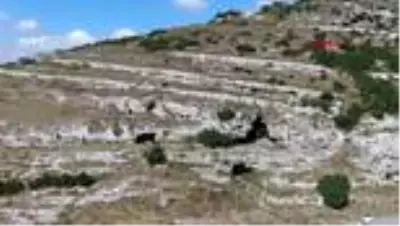 KADERİNE TERK EDİLEN TARİHİ YARIMBURGAZ MAĞARALARI ÇÖPLERLE DOLDU-1 HAVADAN KADERİNE TERK EDİLEN TARİHİ YARIMBURGAZ MAĞARALARI ÇÖPLERLE DOLDU-1 HAVADAN