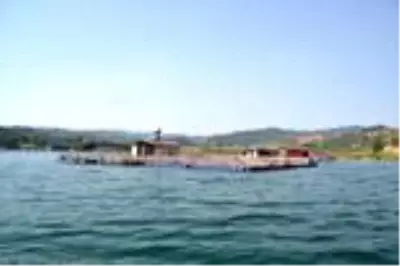 Kahramanmaraş balık tesisleri sayesinde yıllık 25 milyon dolarlık balık ihracatı yapılıyor Kahramanmaraş balık tesisleri sayesinde yıllık 25 milyon dolarlık balık ihracatı yapılıyor